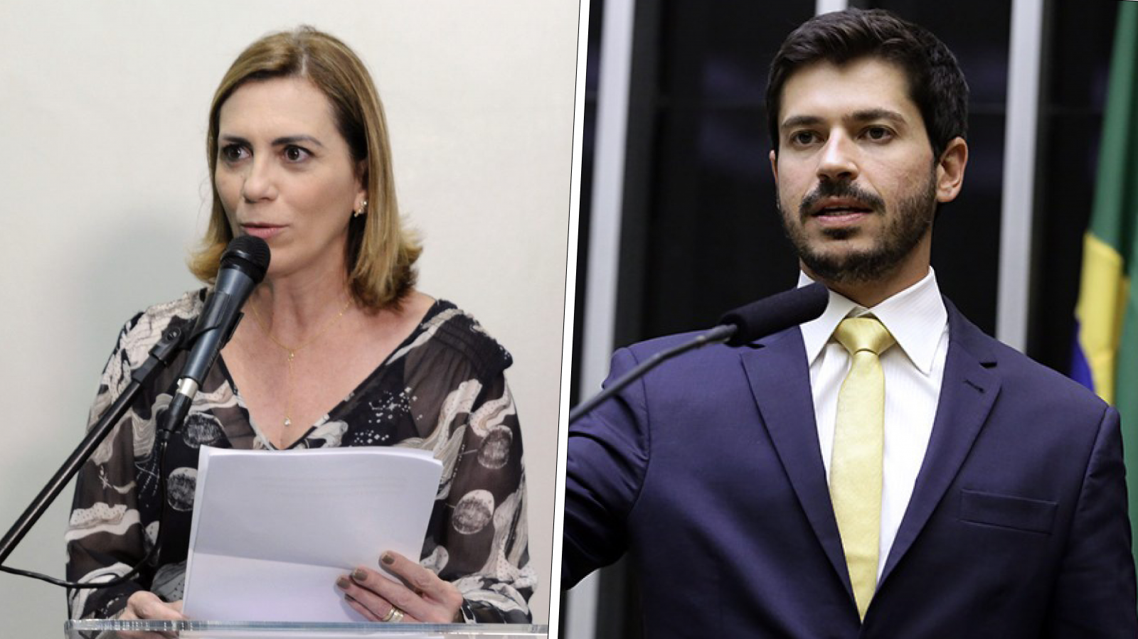 Deputados Rosana Valle E Junior Bozzella Votaram Contra Voc Seeb