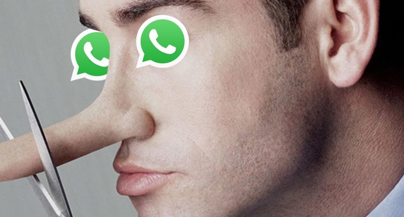 WhatsApp explica como denunciar emissores de notícias falsas