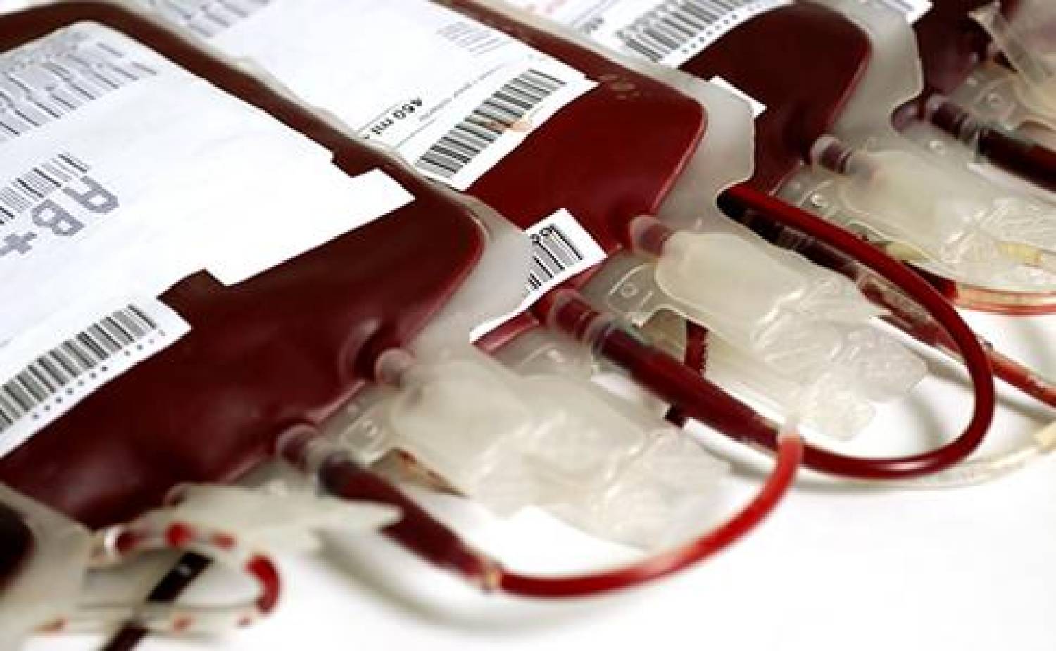 Bancária do Bradesco precisa de doação de sangue em Santos