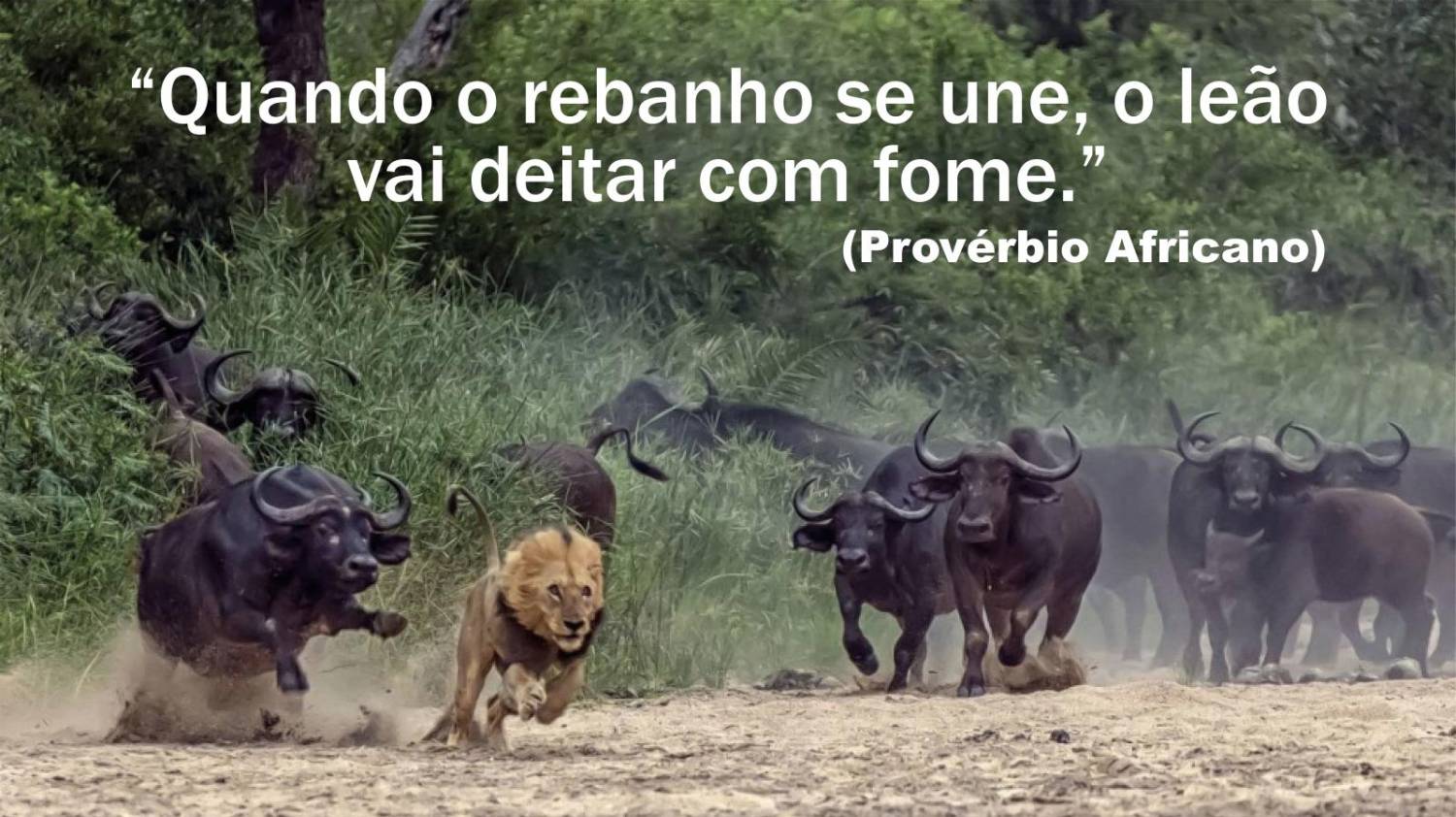 Não fique só, Fique Sócio e defenda-se contra a Reforma Trabalhista! Não fique só, Fique Sócio e defenda-se contra a Reforma Trabalhista!