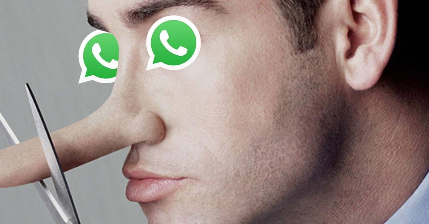WhatsApp explica como denunciar emissores de notícias falsas
