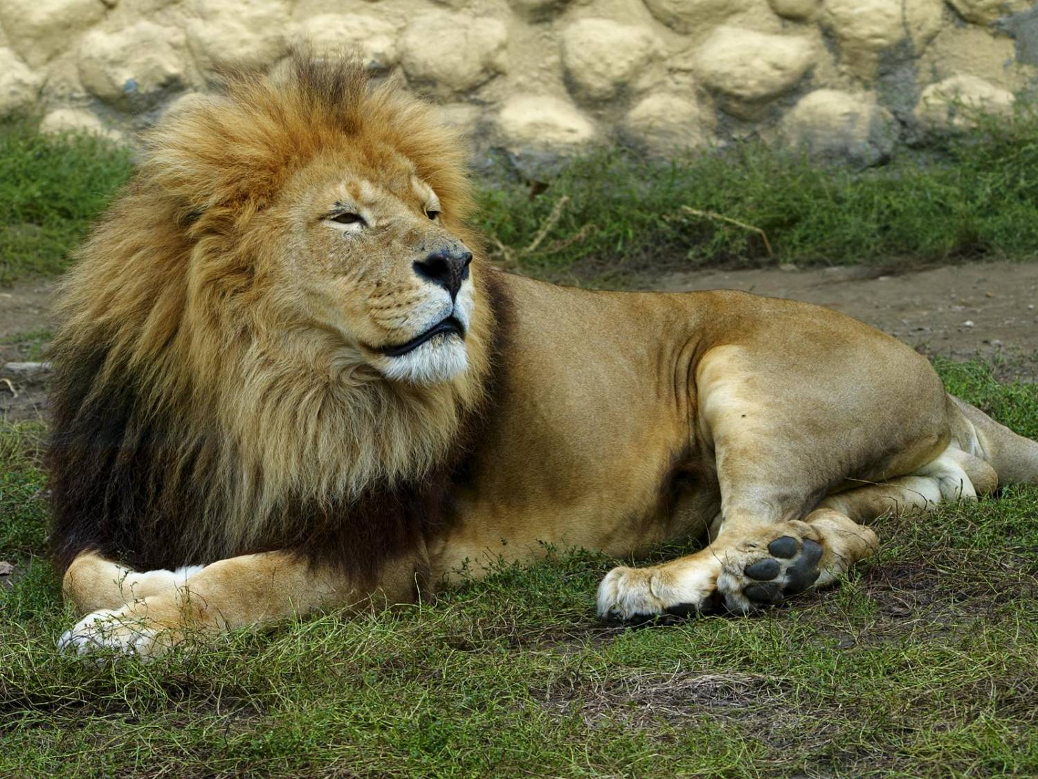 Receita libera restituição de Imposto de Renda nesta segunda, 10 Receita libera restituição de Imposto de Renda nesta segunda, 10