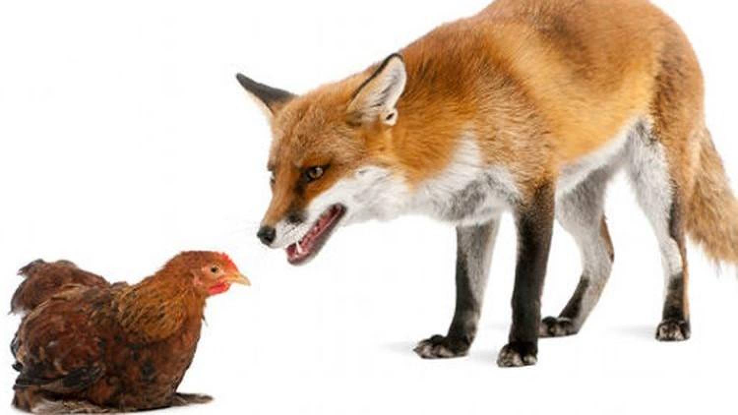 Novos presidentes de bancos públicos têm cabeça de banqueiros privados Novos presidentes de bancos públicos têm cabeça de banqueiros privados