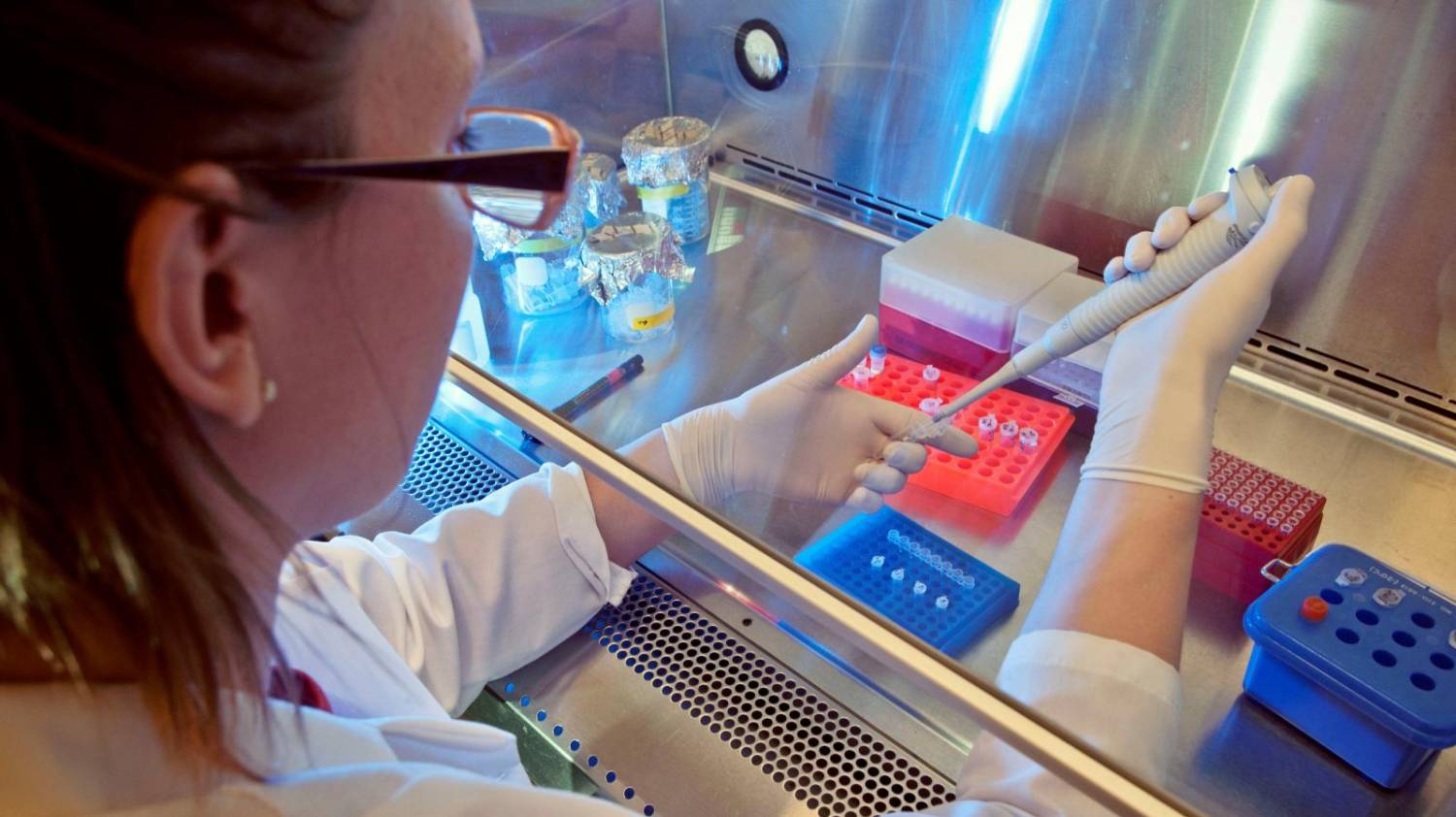 Coronavírus: cuidados são necessários, mas não é caso para pânico Coronavírus: cuidados são necessários, mas não é caso para pânico