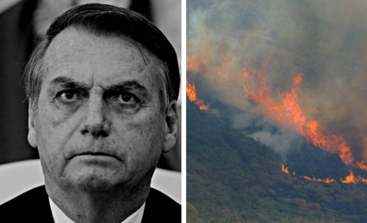 Inimigo da natureza: Um balanço do legado de destruição ambiental de Bolsonaro Inimigo da natureza: Um balanço do legado de destruição ambiental de Bolsonaro