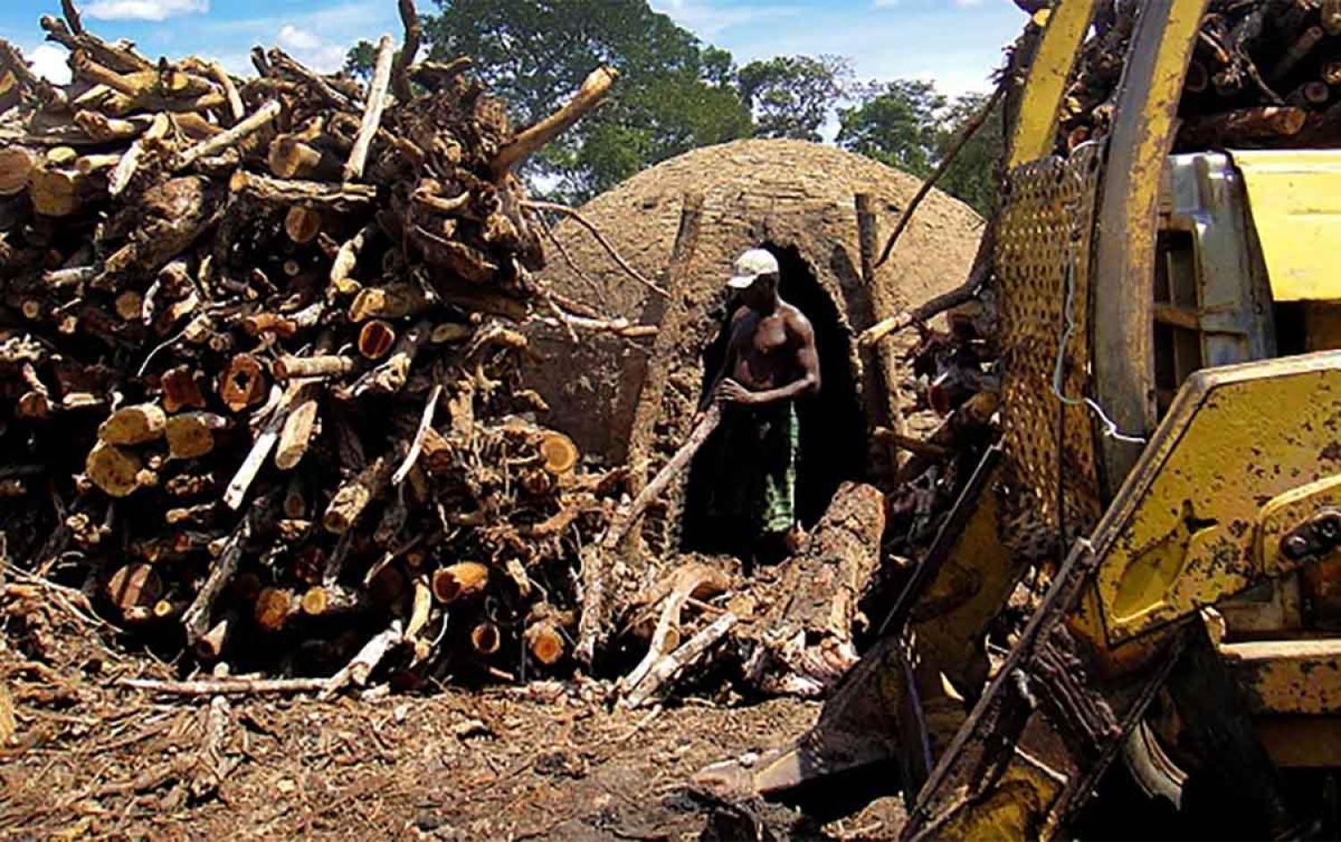 Desprezo do governo inviabilizou políticas de direitos humanos Desprezo do governo inviabilizou políticas de direitos humanos