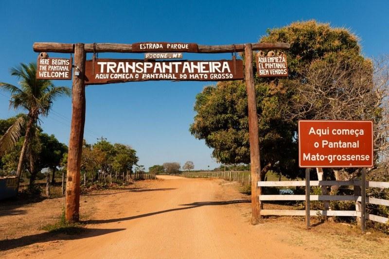 Crime: Transpantaneira vira cinzas depois das queimadas