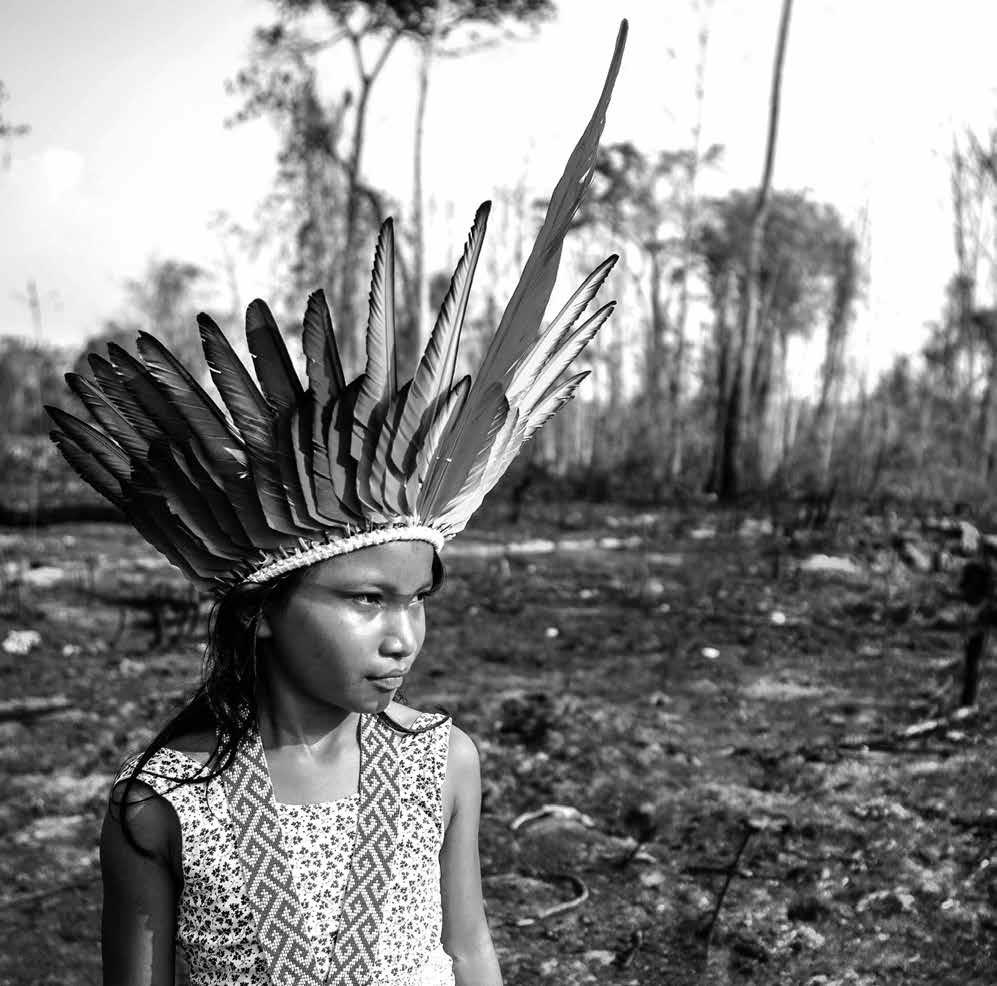 Violência contra indígenas aumentou 150% no governo Bolsonaro
